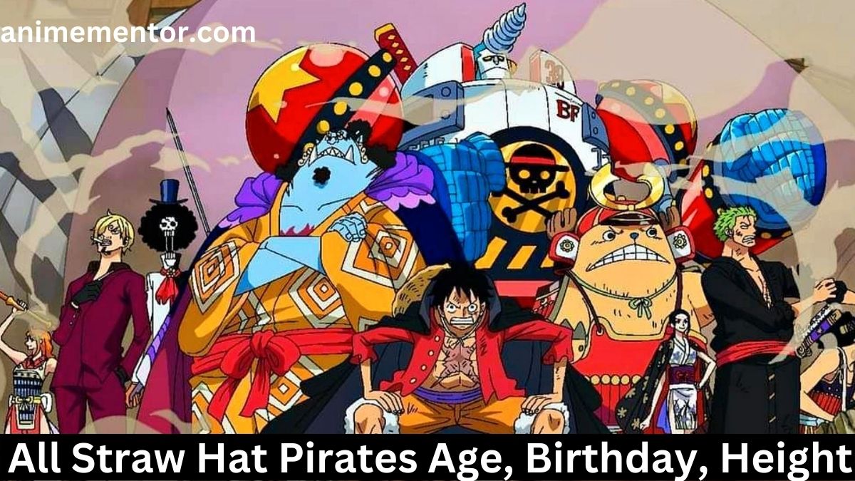 All Straw Hat Pirates Age, Birthday, Height,