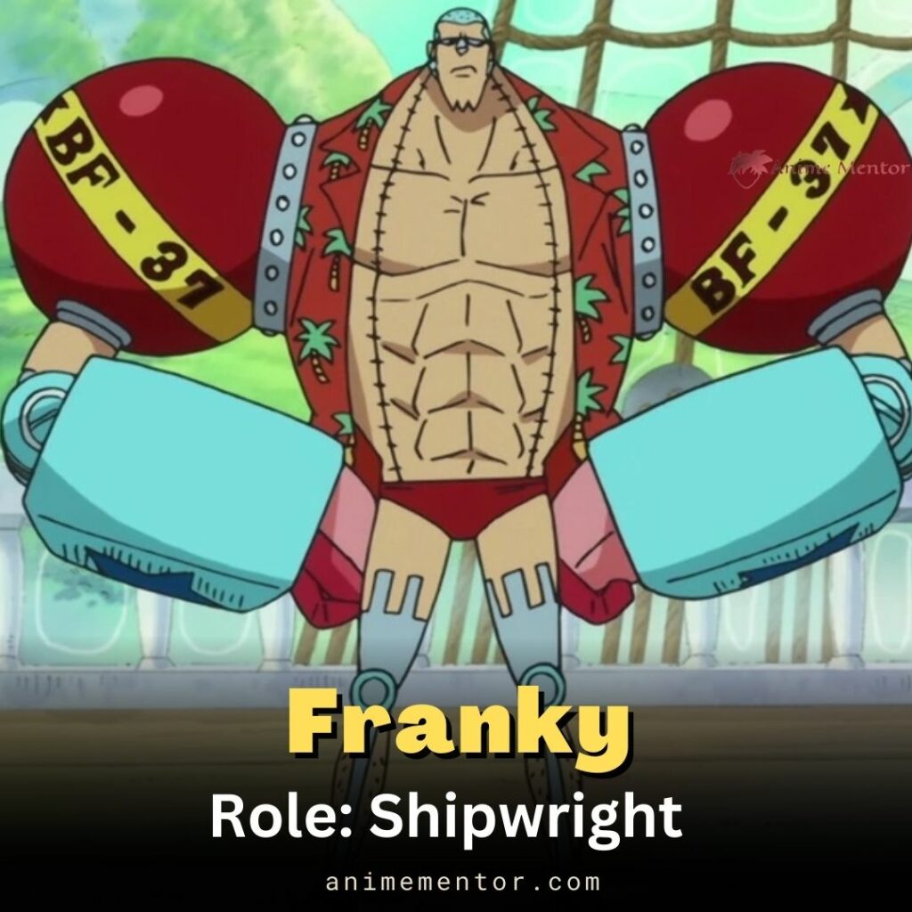 Ages, Heights, & Birthdays Of One Piece's Straw Hats