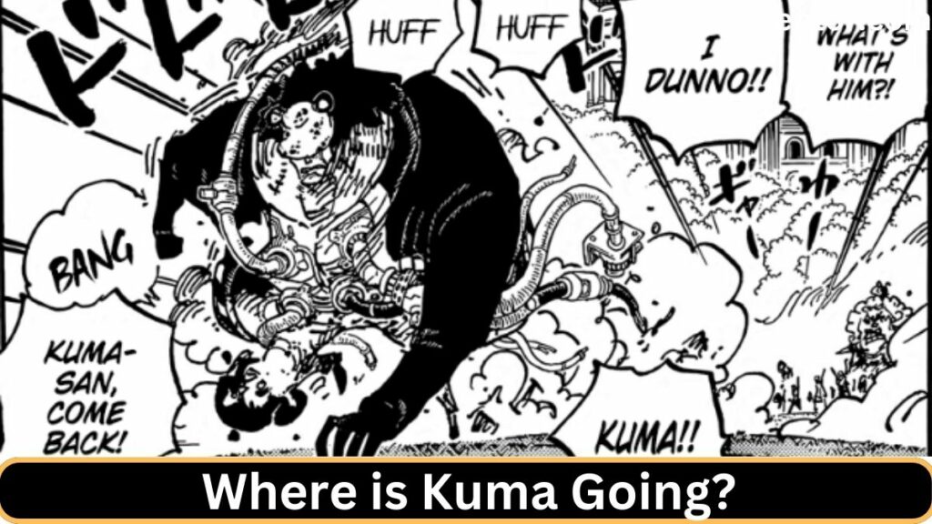 Where is Kuma Going?