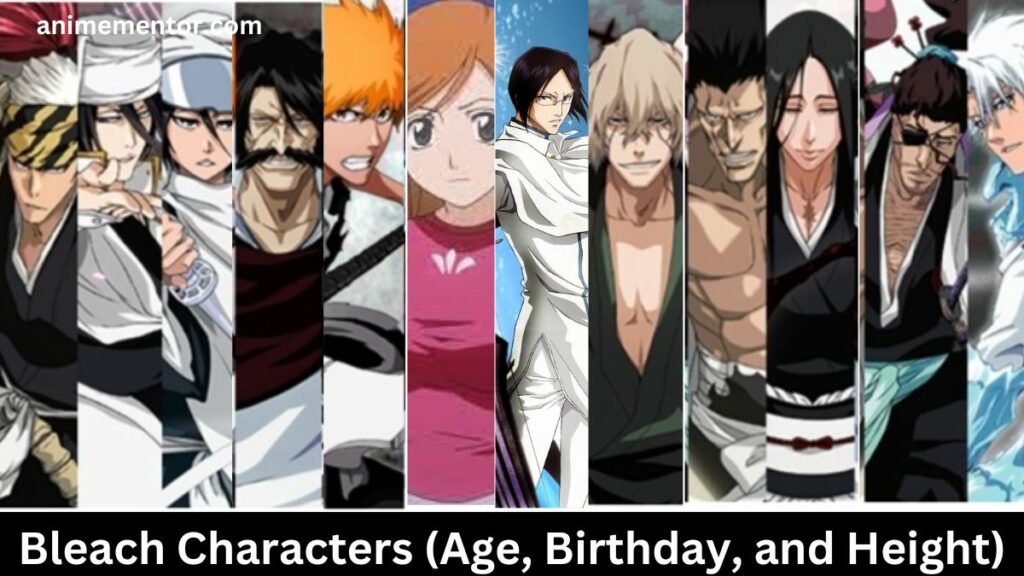 Personajes de Bleach (edad, cumpleaños y altura)