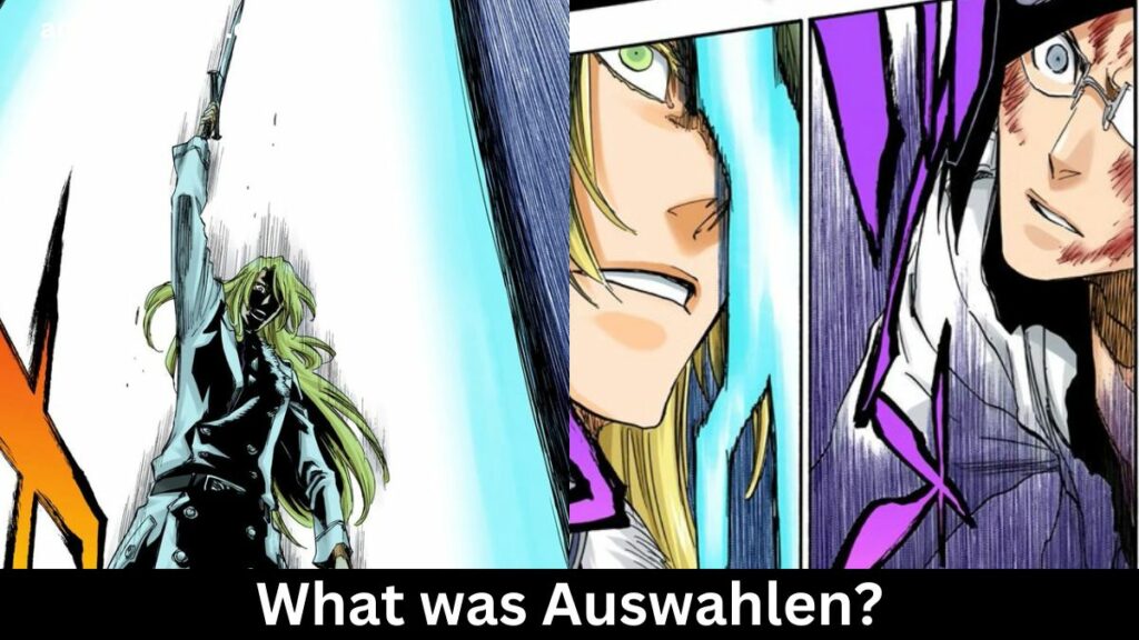 what was Auswahlen?