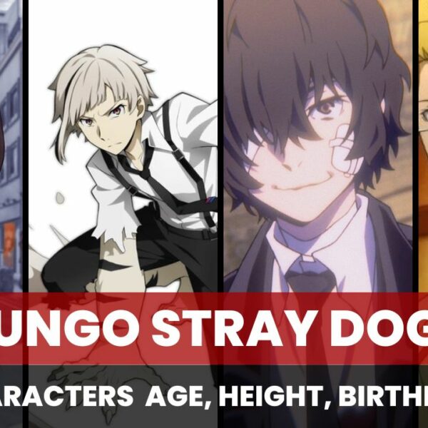 Bungo Stray Dogs Characters,