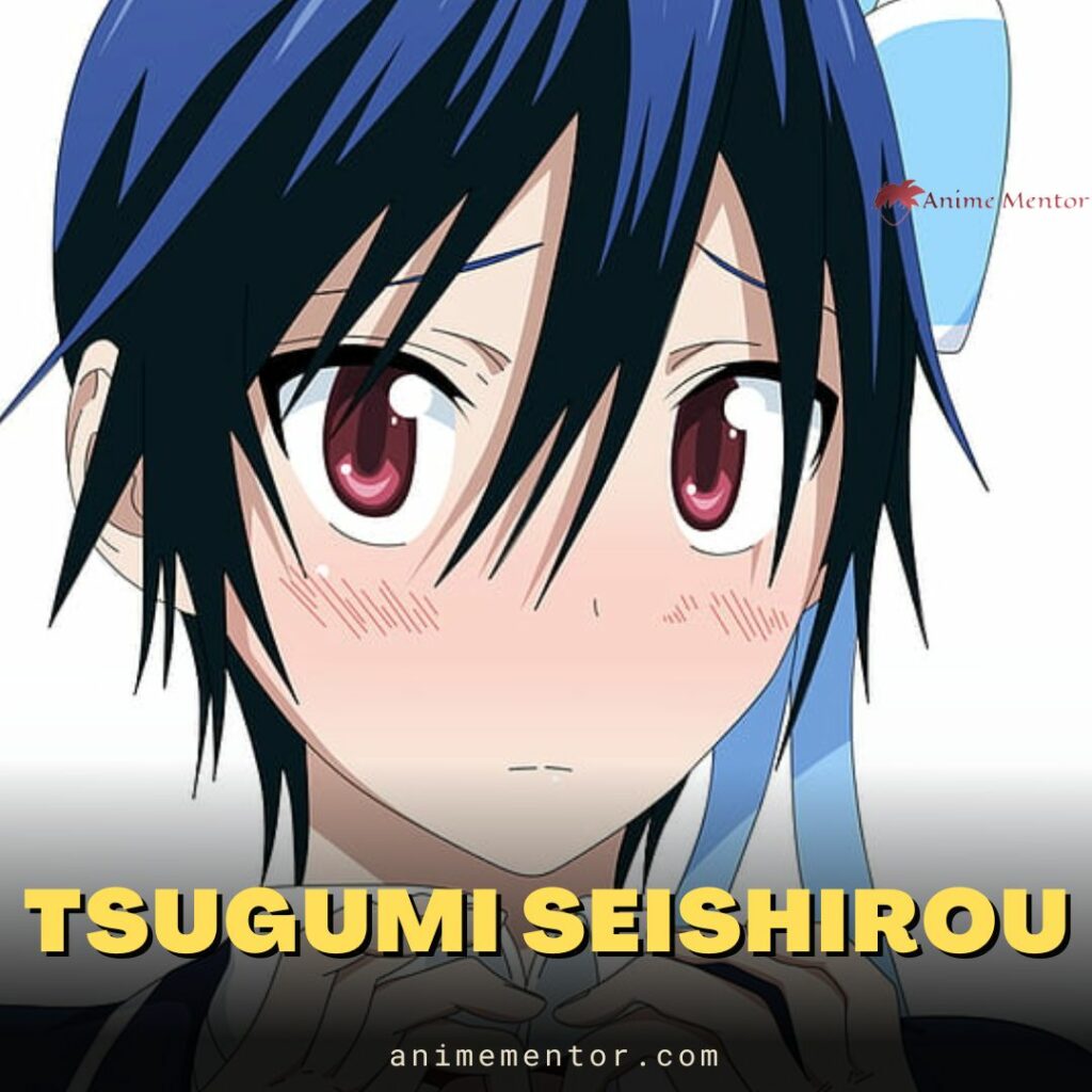 Tsugumi Seishirou