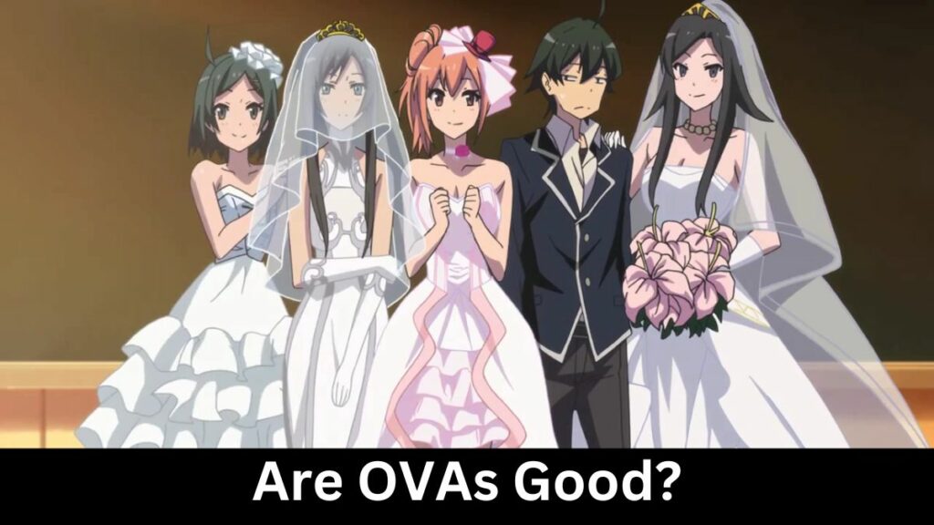 Sind OVAs gut?