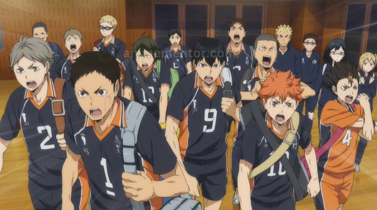 Haikyuu Wiki, Plot, Cast, Review And More