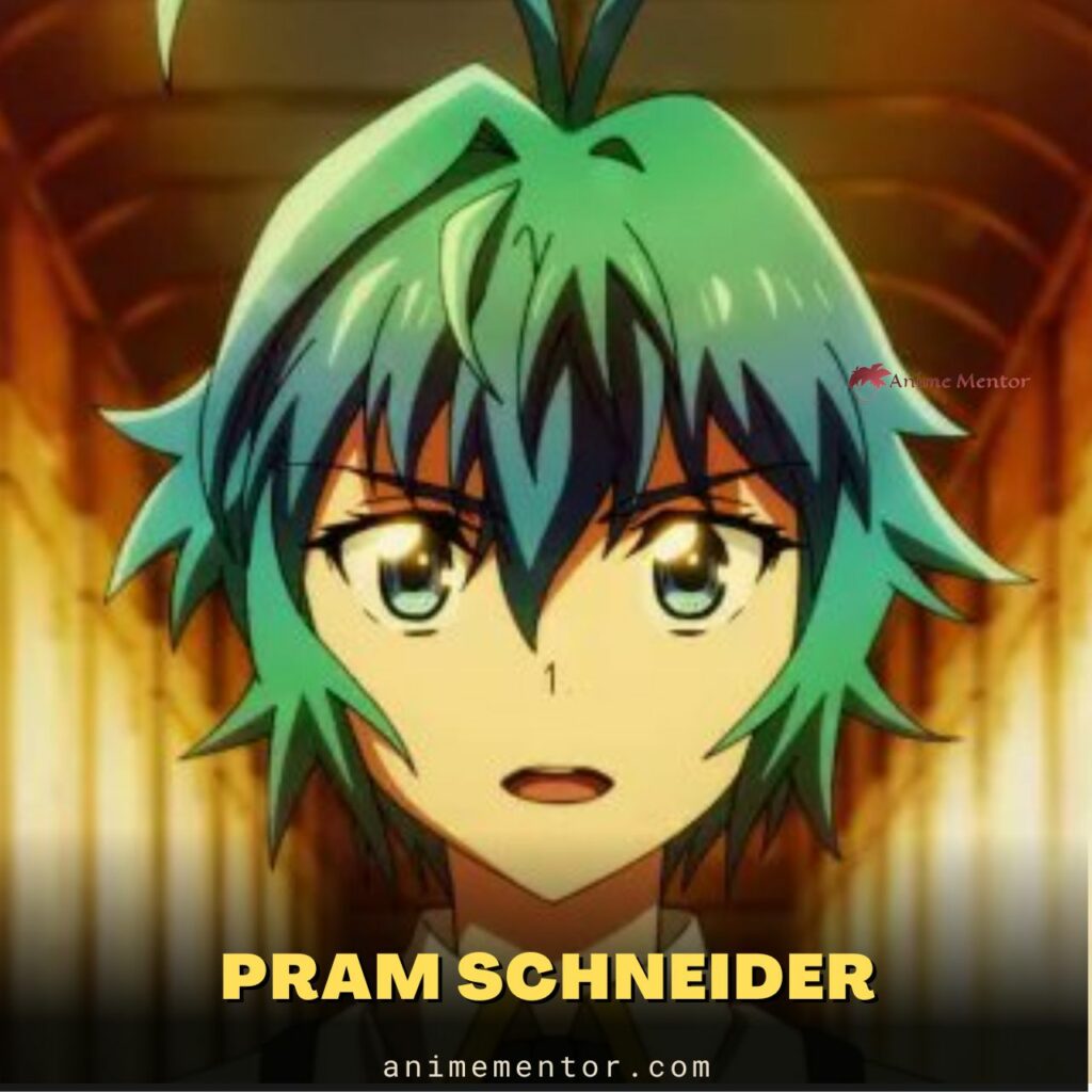 Pram Schneider