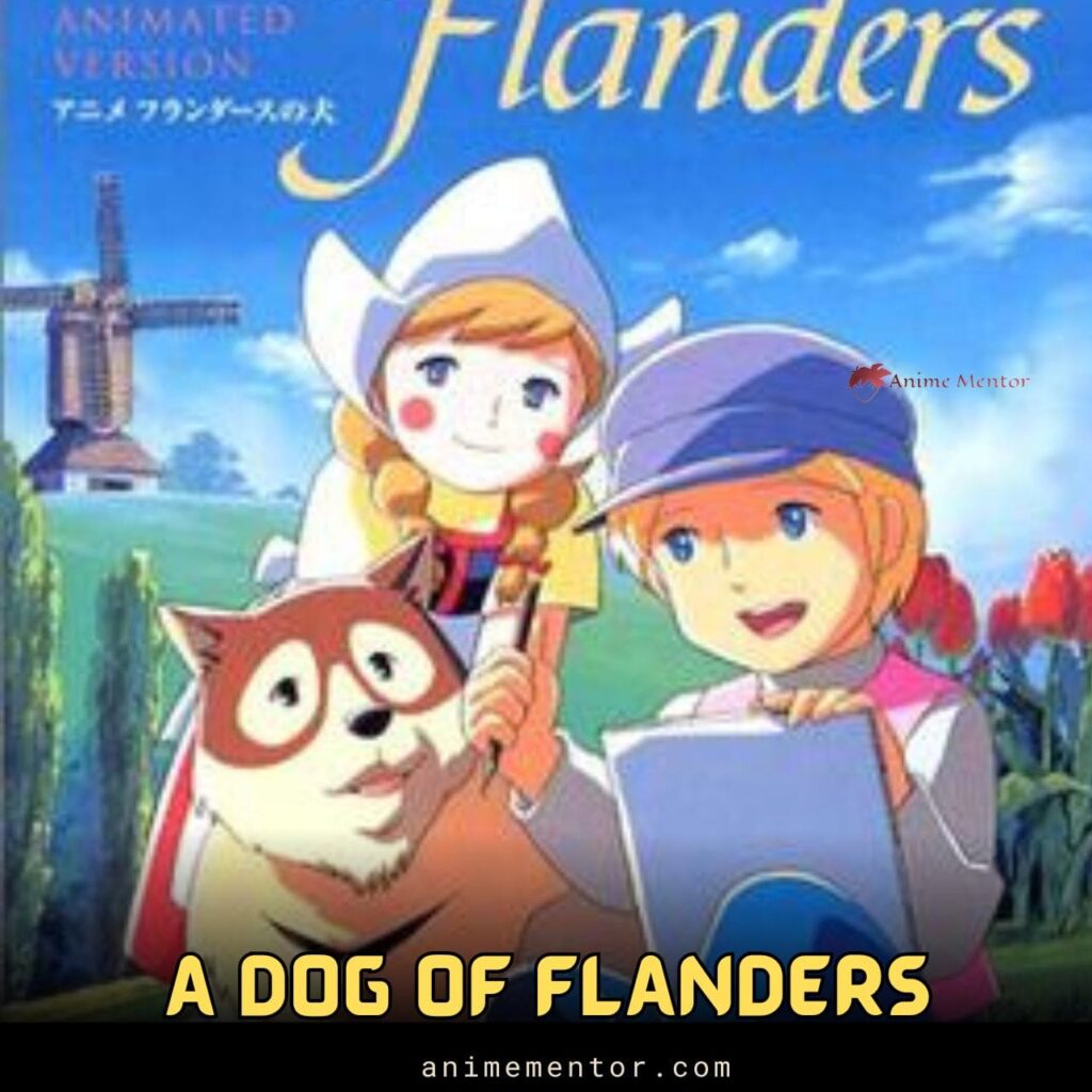 ein Hund von Flandern