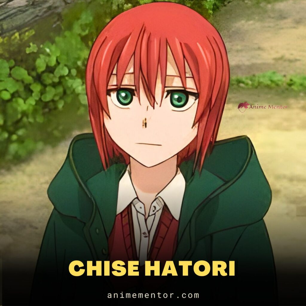 Chise Hatori from The Ancient Magus' Bride