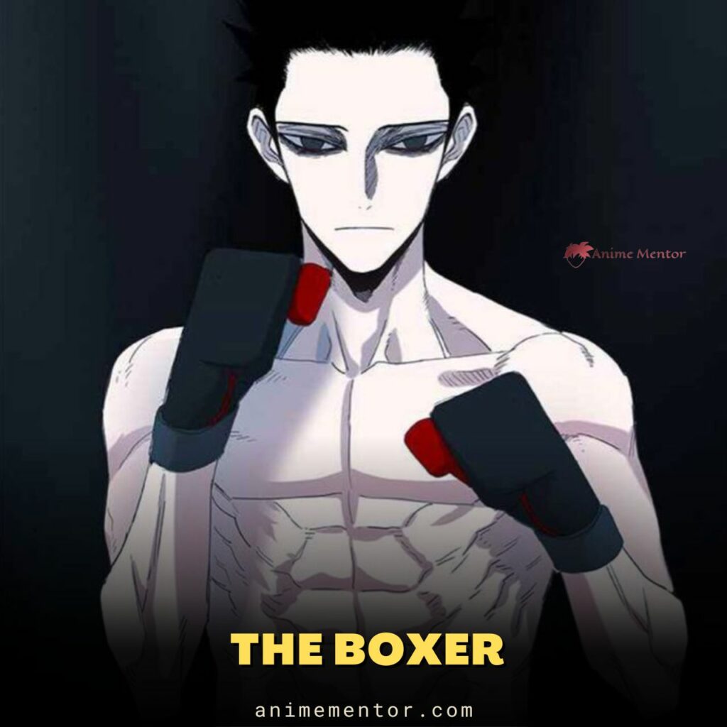 The Boxer